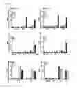 Fig. 23 - Cell-penetrating peptide, conjugate comprising same and composition comprising same