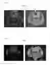 Fig. 35 - Cell-penetrating peptide, conjugate comprising same and composition comprising same