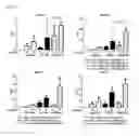 Fig. 44 - Cell-penetrating peptide, conjugate comprising same and composition comprising same