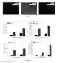 Fig. 02 - Probes for imaging of hypoxia