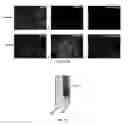 Fig. 03 - Probes for imaging of hypoxia