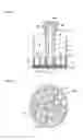 Fig. 04 - Superabsorbent polymer