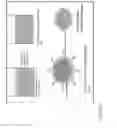 Fig. 06 - NOVEL HEMOSTATIC PATCH AND USES THEREOF