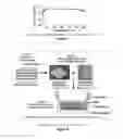 Fig. 06 - Tissue-engineered silk organs
