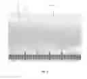 Fig. 04 - Fenestrated bone wrap graft
