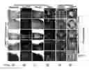 Fig. 04 - Methods related to minimally polarized functional units