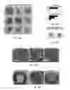 Fig. 05 - Methods related to minimally polarized functional units