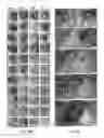 Fig. 11 - Methods related to minimally polarized functional units