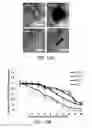 Fig. 12 - Methods related to minimally polarized functional units