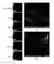 Fig. 13 - Methods related to minimally polarized functional units