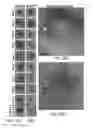 Fig. 20 - Methods related to minimally polarized functional units
