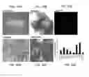 Fig. 24 - Methods related to minimally polarized functional units