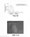 Fig. 19 - Methods and devices for cellular transplantation