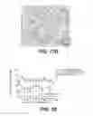 Fig. 20 - Methods and devices for cellular transplantation