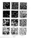 Fig. 09 - BIOCOMPATIBLE NANOPHASE MATERIALS