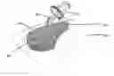 Fig. 01 - Apparatuses and methods for negative pressure wound therapy