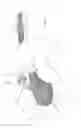 Fig. 03 - Apparatuses and methods for negative pressure wound therapy