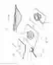 Fig. 69 - Apparatuses and methods for negative pressure wound therapy
