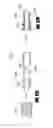 Fig. 93 - Apparatuses and methods for negative pressure wound therapy