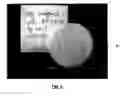 Fig. 07 - SORBENT FOR A DIALYSIS DEVICE