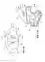 Fig. 13 - BREATHING APPARTUS WITH NASAL INTERFACE