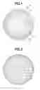 Fig. 02 - Multi-piece solid golf ball
