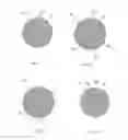 Fig. 04 - Golf balls having foam centers with non-uniform core structures