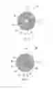 Fig. 05 - Golf balls having foam centers with non-uniform core structures