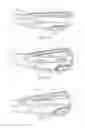 Fig. 08 - Progressive iron set