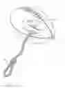 Fig. 01 - Football training device