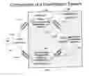Fig. 01 - Gamification for online social communities