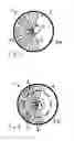 Fig. 04 - Filter module having a plurality of replaceable hollow-fiber bundles in an end-face plate