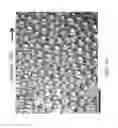 Fig. 07 - Compositions and methods for forming emulsions