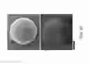 Fig. 09 - Compositions and methods for forming emulsions