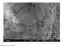 Fig. 01 - Process for preparing phase change microcapsule having thermally conductive shell
