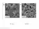 Fig. 58 - Mesoporous materials and processes for preparation thereof