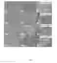 Fig. 13 - Mesoporous materials and processes for preparation thereof