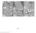 Fig. 25 - Mesoporous materials and processes for preparation thereof