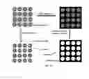 Fig. 28 - Mesoporous materials and processes for preparation thereof