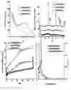 Fig. 40 - Mesoporous materials and processes for preparation thereof