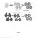Fig. 53 - Mesoporous materials and processes for preparation thereof