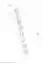 Fig. 09 - MICROTUBE CAP
