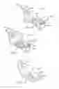 Fig. 06 - Air caps with face geometry inserts for liquid spray guns