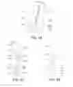Fig. 24 - Electromechanical system for dispensing a composition