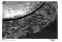 Fig. 01 - Granulated seeds