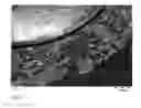 Fig. 02 - Granulated seeds