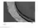Fig. 04 - Granulated seeds