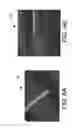 Fig. 07 - Methods for the development of commercial scale nano-engineered ultraconductive copper wire