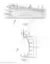 Fig. 02 - Method of Making Metal Simulated Log Siding Panel with Hew Lines
