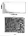 Fig. 04 - Abrasive article including agglomerates having silicon carbide and an inorganic bond material